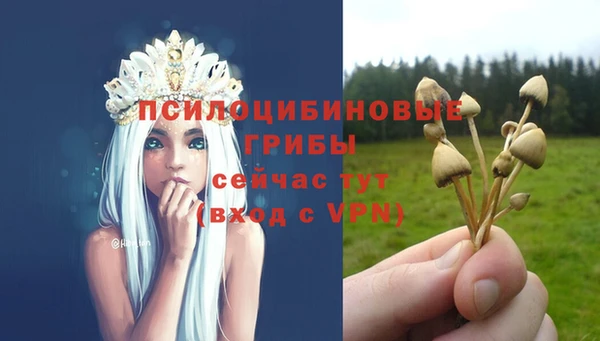 дмт Липки