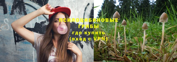 apvp Лихославль