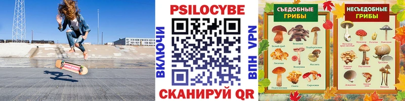 Купить где  Красный Кут  Галлюциногенные грибы GOLDEN TEACHER 